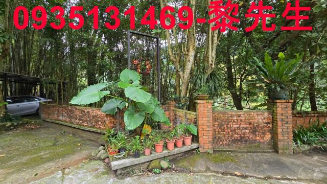 新竹關西三合院-4