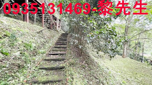 橫山農舍-4