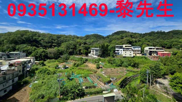 竹東華廈-1