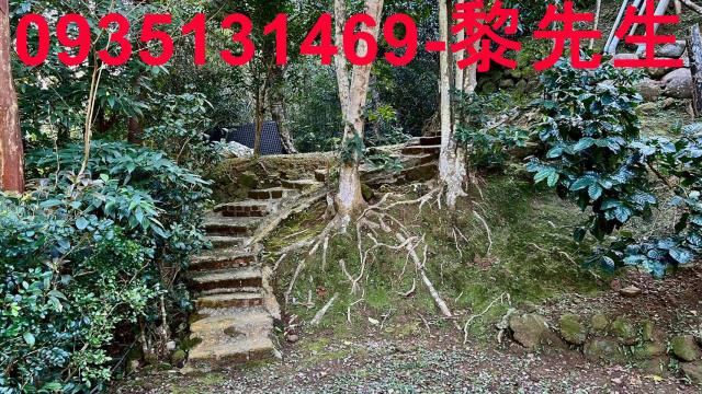 新竹尖石農舍-0