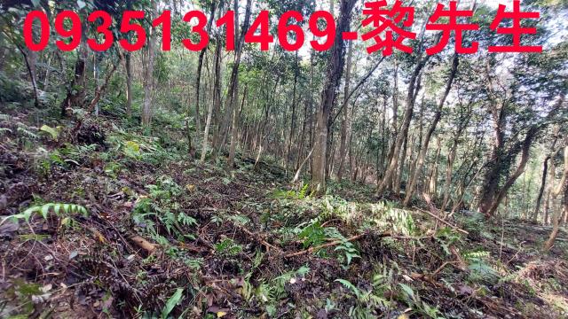 三灣農地-10