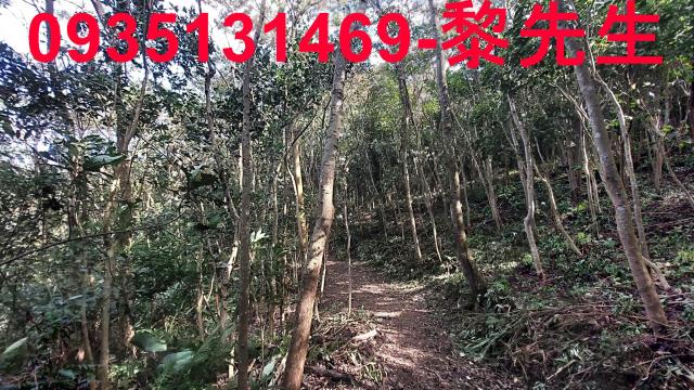 三灣農地-8