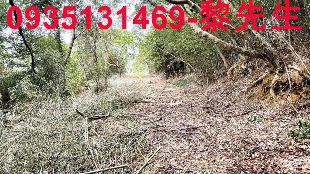 香山農地-9