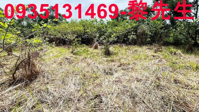 香山農地-3