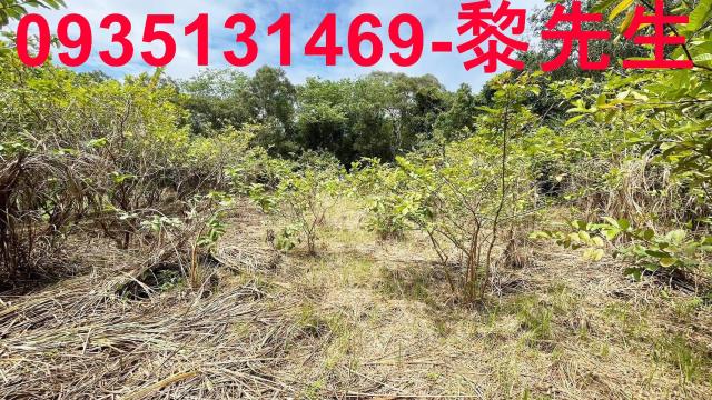 香山農地-4