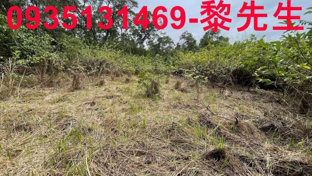 香山農地-5