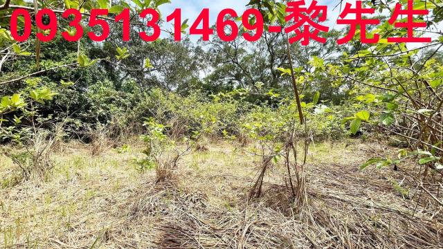 香山農地-6