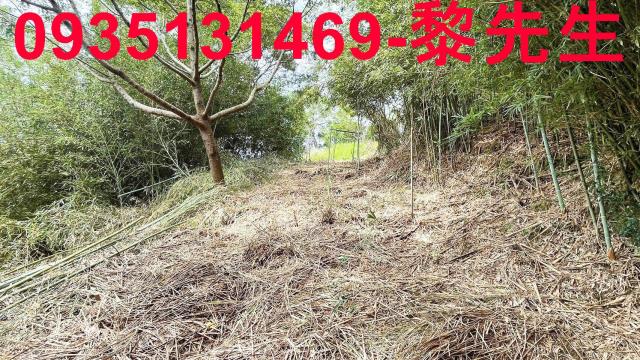 香山農地-8