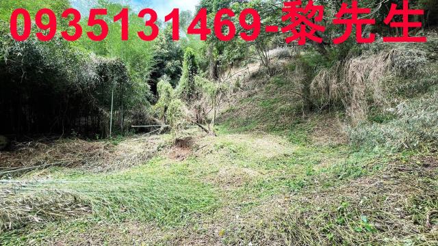 香山農地-14