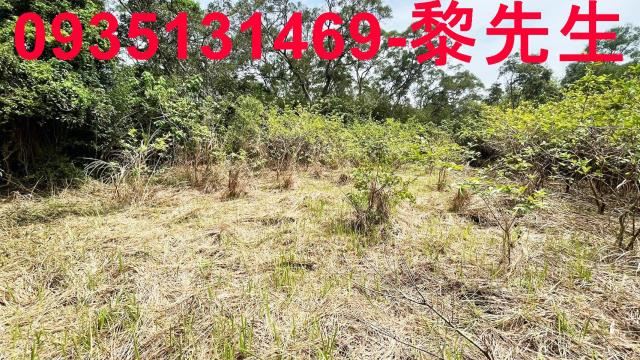 香山農地-4