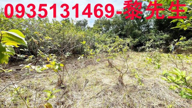 香山農地-6