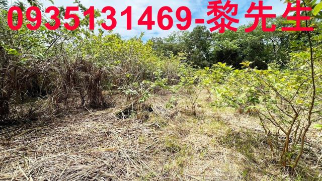 香山農地-7