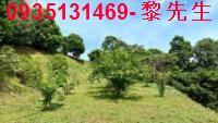 新竹北埔農地-1