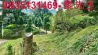 新竹北埔農地-8