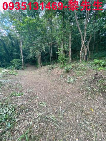 苗栗農地-1