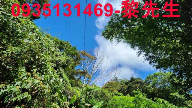 新竹芎林林地-10