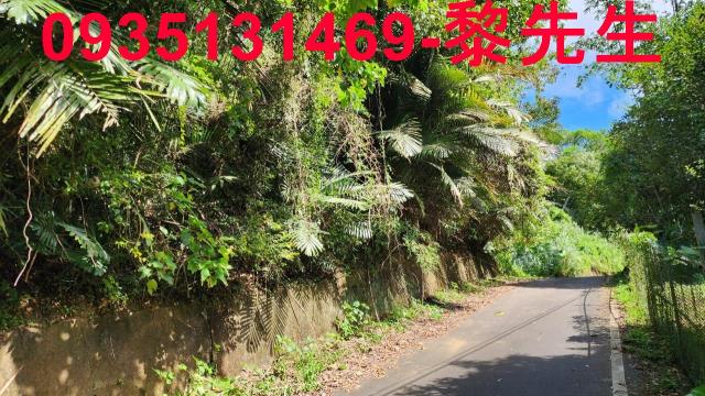 新竹芎林林地-0