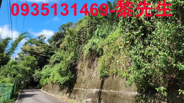 新竹芎林林地-11