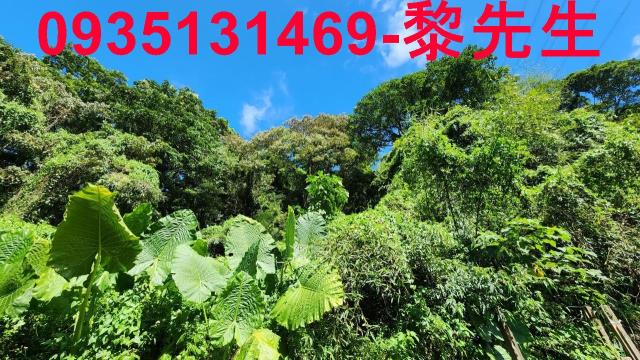 新竹芎林林地-1