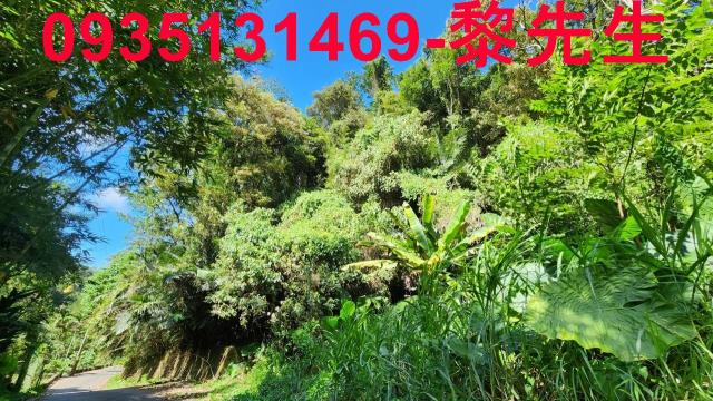 新竹芎林林地-4