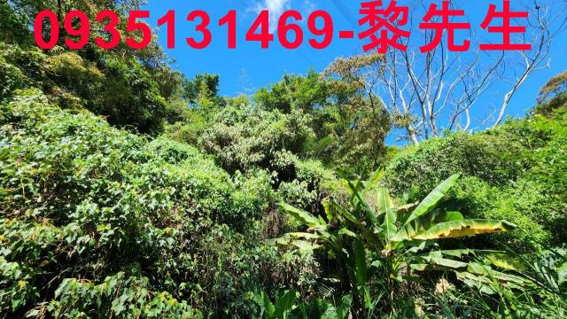 新竹芎林林地-7
