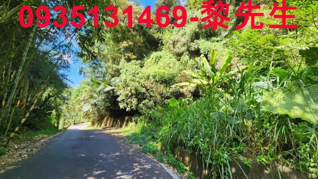 新竹芎林林地-8