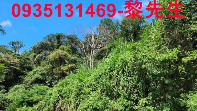 新竹芎林林地-9