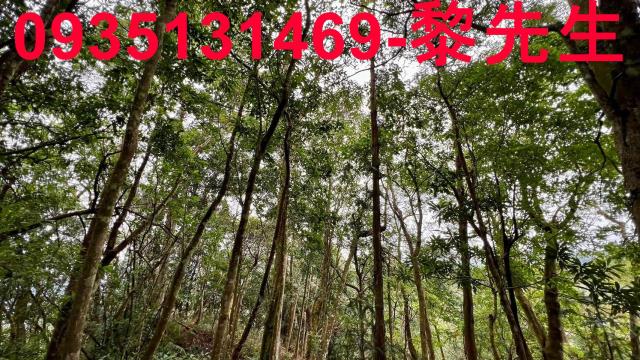 新竹橫山農地-11