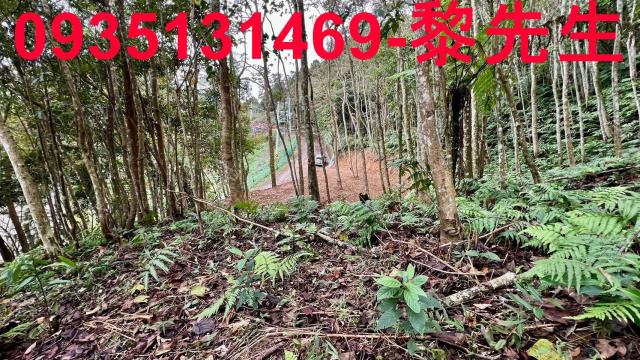 新竹橫山農地-12