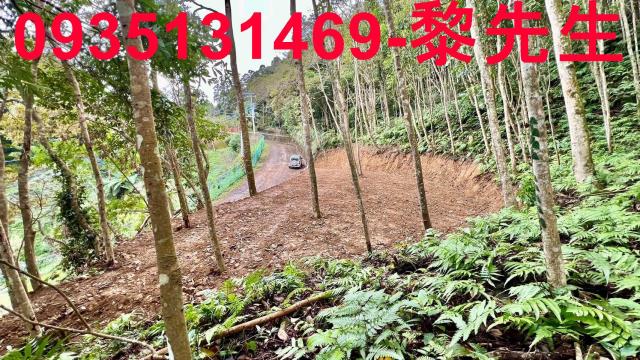 新竹橫山農地-0