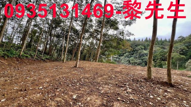新竹橫山農地-13