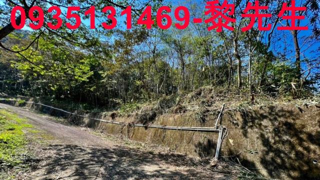 新竹橫山農地-5