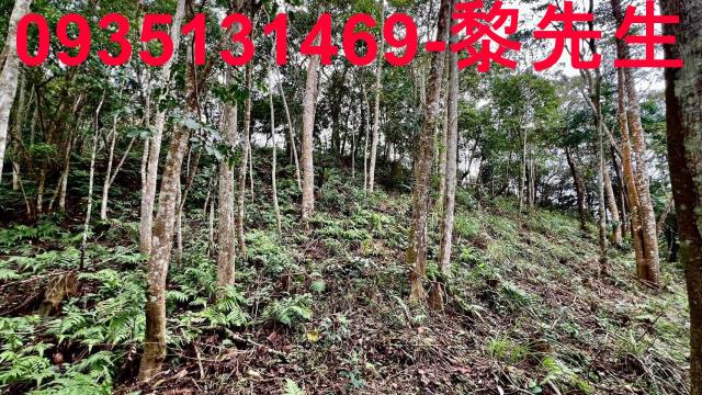新竹橫山農地-6