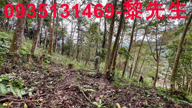 新竹橫山農地-7
