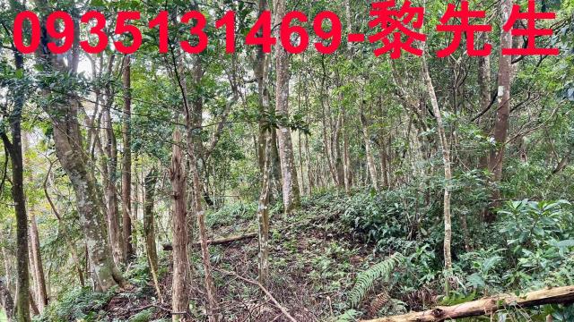 新竹橫山農地-8