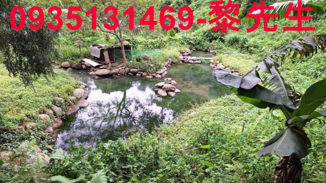 三灣農地-10
