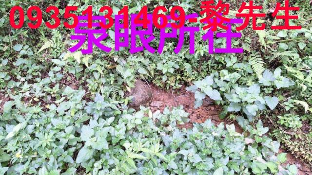 三灣農地-13