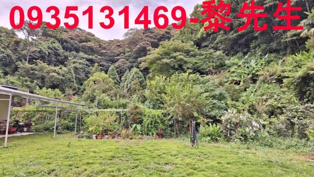 三灣農地-6