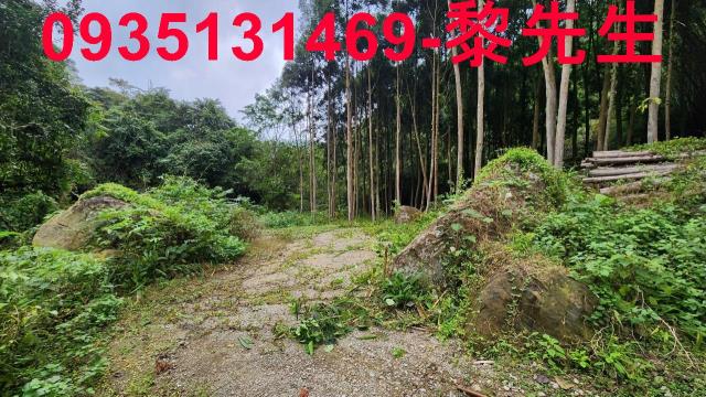 新竹北埔農地-10