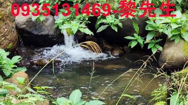 新竹北埔農地-11