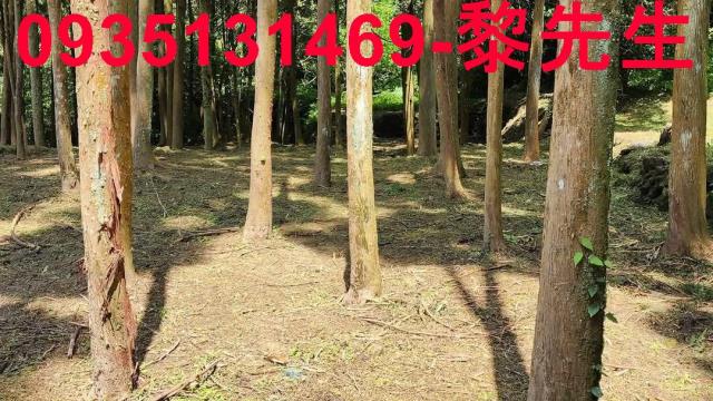 新竹北埔農地-1