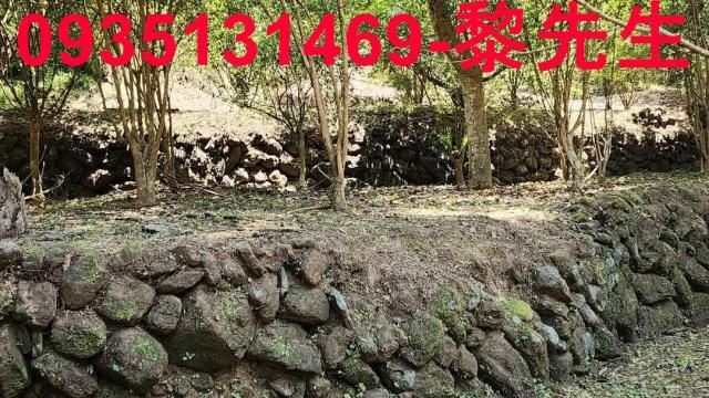 新竹北埔農地-2