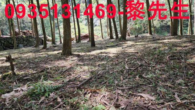 新竹北埔農地-3
