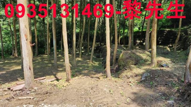 新竹北埔農地-4