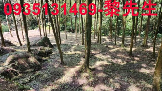 新竹北埔農地-5