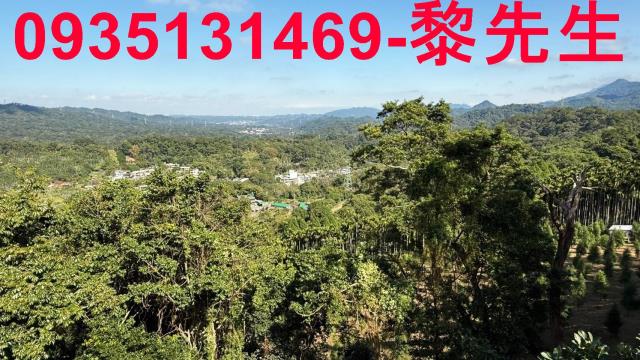 新竹橫山林地-1