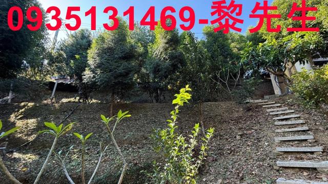 新竹橫山林地-2