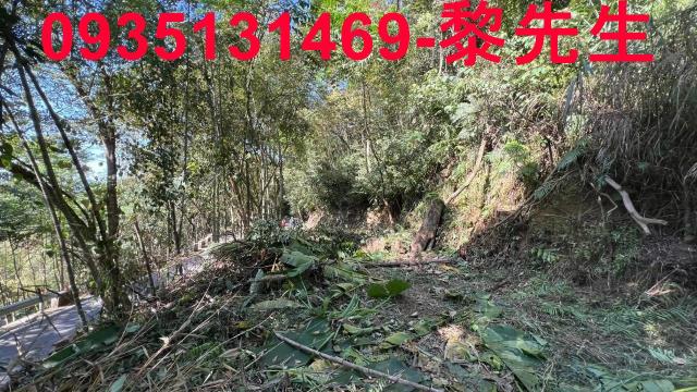 橫山農地-9