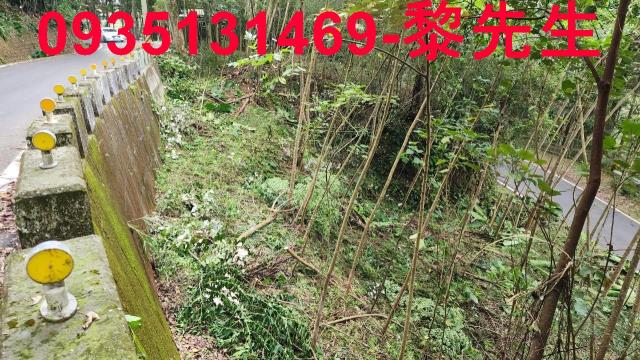 橫山農地-10