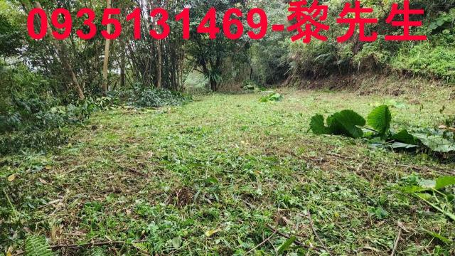 橫山農地-13